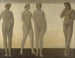 Artémis - Vilhelm Hammershøi — vista de la obra