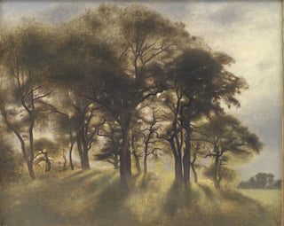 cerca de Fortunen, parque de ciervos de Jægersborg, al norte de Copenhague - Vilhelm Hammershøi — vista de la obra