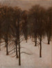 Parque Søndermarken en invierno - Vilhelm Hammershøi — vista de la obra