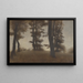Trunks of Trees Arresdal near Frederiksværk, North Zealand - Vilhelm Hammershøi — framed artwork on a wall