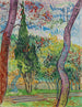 Parque del hospital Saint-Paul - Vincent van Gogh — vista de la obra