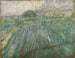 Lluvia - Vincent van Gogh — vista de la obra