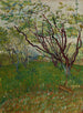 El huerto en flor - Vincent van Gogh — vista de la obra