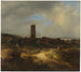 Vista de Egmond aan Zee - Jacob van Ruisdael — vista de la obra