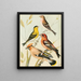 Siskin, jilgueru, jaseur, pico - cruzado - W. A. Blakston — cuadro enmarcado en la pared
