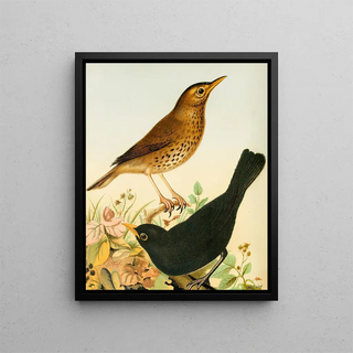W A Blakston - Song Thrush And Blackbird.webp