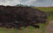 Paisaje - Władysław Ostrowski — vista de la obra