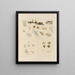 Botanical cryptogamic painting of the voyage to Antarctica of the HM Discovery Erebus and Terror ships in 1839 Pl36 - Walter Hood Fitch — framed artwork on a wall