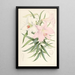 Lilium Japonicum - Walter Hood Fitch — framed artwork on a wall