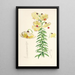 Lilium Monadelphum - Walter Hood Fitch — framed artwork on a wall