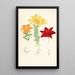 Lilium elegans var alutaceum - Walter Hood Fitch — framed artwork on a wall