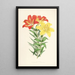 Lilium elegans var incomparabile - Walter Hood Fitch — framed artwork on a wall
