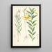 Lilium oxypetalum - Walter Hood Fitch — framed artwork on a wall