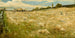 Champs de blé Vermont - Walter Shirlaw — artwork view