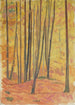 Interior de bosque - Walther Gamerith — vista de la obra