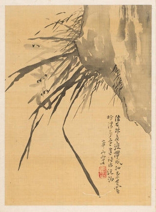 Watanabe Kazan - Orchid.webp