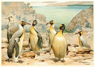 Wilhelm Kuhnert - Giant Penguins.webp