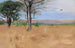 África del Este - Wilhelm Kuhnert — vista de la obra