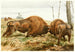 El Bisonte de Europa - Wilhelm Kuhnert — vista de la obra