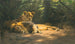 La Tanière des lions - Wilhelm Kuhnert — artwork view