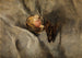 Butterfly skull head with mushroom on white fabric - Wilhelm Leibl — artwork view