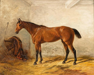 Wilhelm Richter - A Bay Horse in a Stable with Saddle Blanket.webp