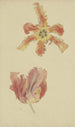Tulips Parrot Painting - Wilhelm Steinhausen — artwork view
