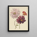 Dahlias - Willem Hekking — cuadro enmarcado en la pared