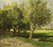 Willow Trees - Willem Roelofs — artwork view