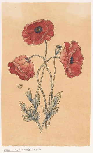 Willem Wenckebach - Klaprozen.webp