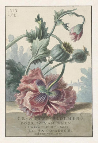 Willem van Leen - Klaprozen.webp