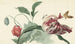 Tulipán y amapola - Willem van Leen — vista de la obra