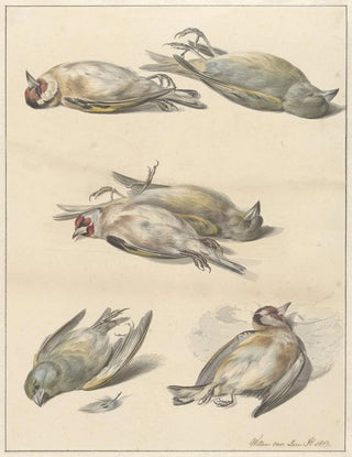 Willem van Leen - Zes dode vogeltjes.webp