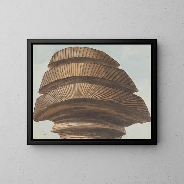 Vue arrière de la tête du Sphinx - Willey Reveley — framed artwork on a wall