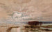 L'inundación en el Darling, 1890 - William Charles Piguenit — vista de la obra