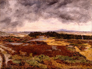 William Davis - View from Bidston Hill.webp