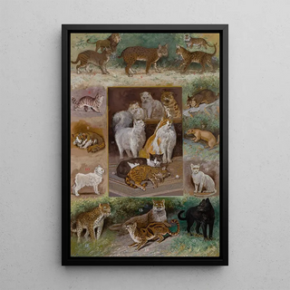 William Henry Drake - Felines.webp