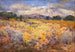 Longs Peak, Colorado - William Henry Holmes — artwork view