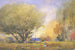 Escena de verano - William Henry Holmes — vista de la obra