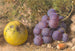 Apple, grapes and hazelnut - William Henry Hunt — artwork view