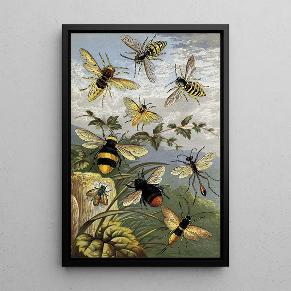 William Houghton - Hymenoptera.webp