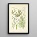 A Century of Ferns Pl66 - William Jackson Hooker — framed artwork on a wall
