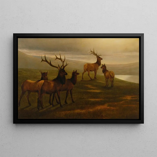 William Jacob Hays Sr - American Elk.webp