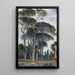 Pins parasols en la Villa Borghèse Roma - William James Müller — cuadro enmarcado en la pared