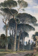 Pins parasols en la Villa Borghèse Roma - William James Müller — vista de la obra