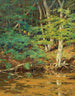 on the Swift River in Tamworth NH - William Johnson Bixbee — artwork view