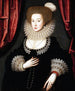 Retrato de Mary Radclyffe - William Larkin — vista de la obra