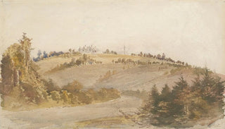 William Mathew Hodgkins - Awamoa Otago.webp