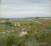 Paisaje en Shinnecock, Long Island - William Merritt Chase — vista de la obra