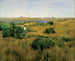 Verano en Shinnecock Hills - William Merritt Chase — vista de la obra